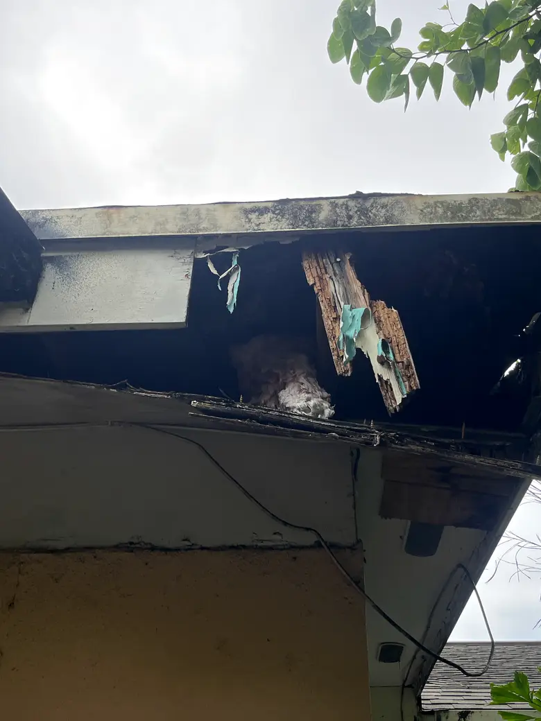A rotted, collapsed eave corner with the soffit open to the weather