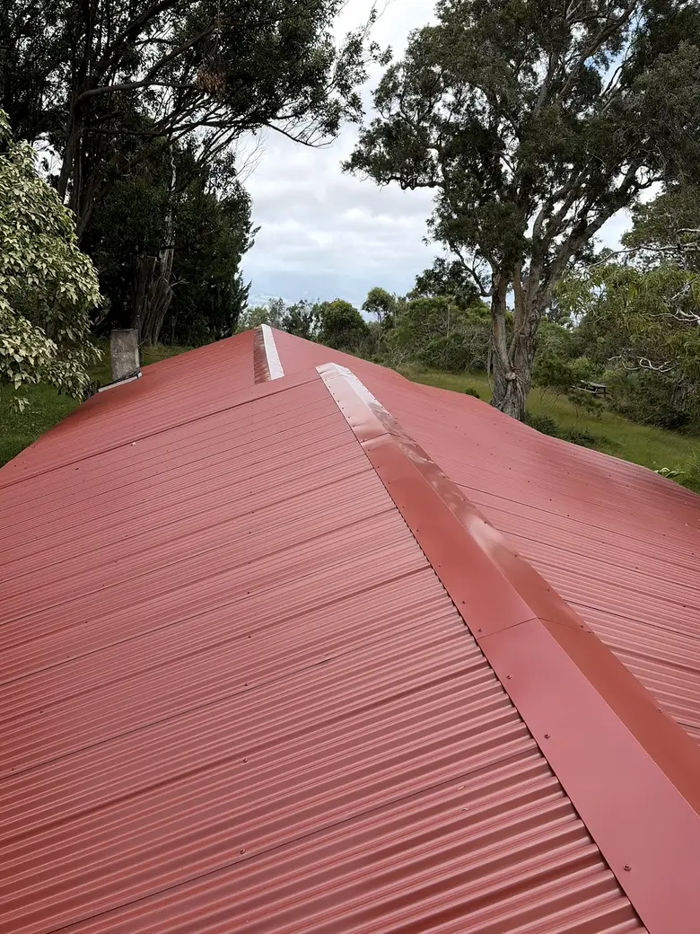 The new ridge line sealed, finished and gleaming