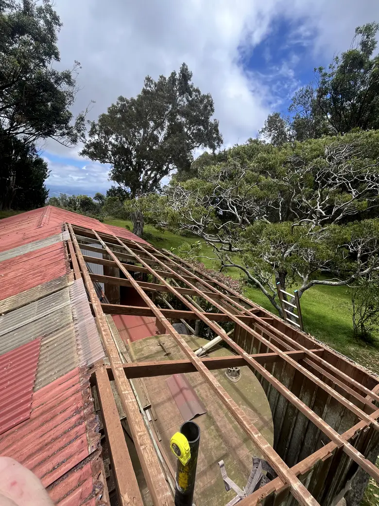 The structure stripped back to bare rafters
